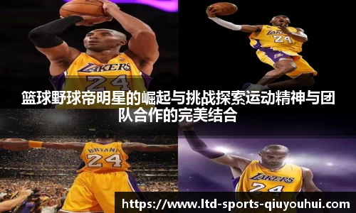 篮球野球帝明星的崛起与挑战探索运动精神与团队合作的完美结合